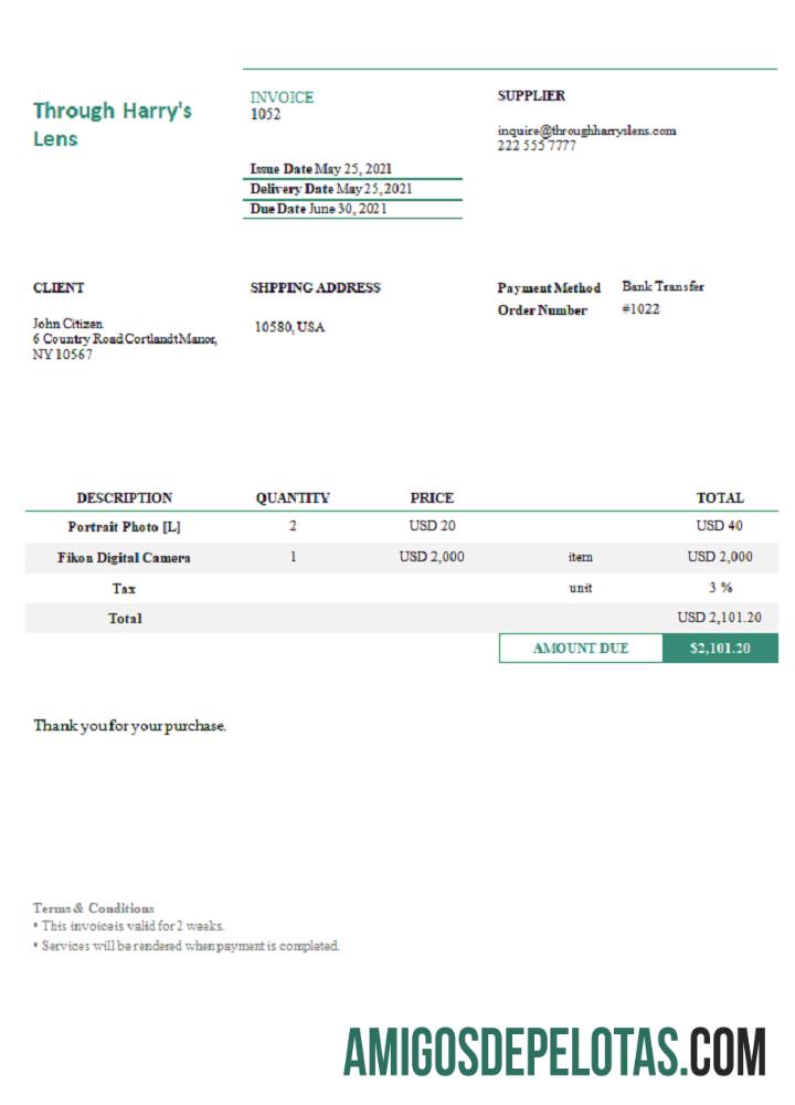 Fatura dos EUA através da lente de Harry modelo